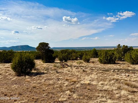 Tiny photo for TBD Co Rd N3109 9.11 Acres, Vernon, AZ 85940 (MLS # 257672)