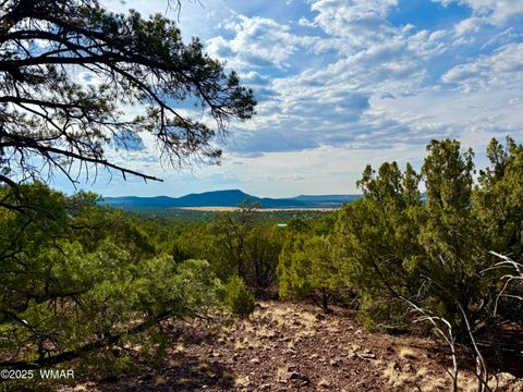 Tiny photo for TBD Co Rd N3109 9.11 Acres, Vernon, AZ 85940 (MLS # 257672)