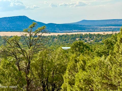 Tiny photo for TBD Co Rd N3109 9.11 Acres, Vernon, AZ 85940 (MLS # 257672)