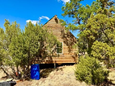 Tiny photo for TBD Co Rd N3109 9.11 Acres, Vernon, AZ 85940 (MLS # 257672)