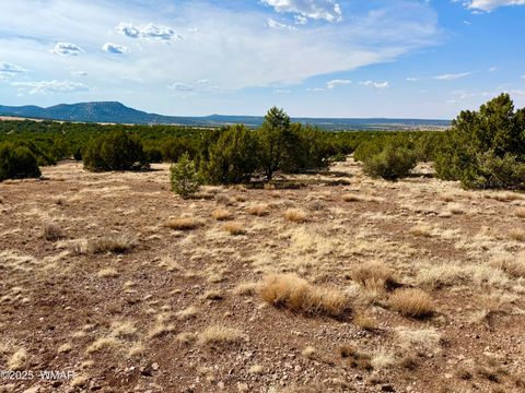 Tiny photo for TBD Co Rd N3109 9.11 Acres, Vernon, AZ 85940 (MLS # 257672)