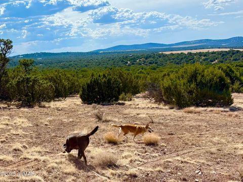 Tiny photo for TBD Co Rd N3109 9.11 Acres, Vernon, AZ 85940 (MLS # 257672)