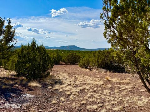 Tiny photo for TBD Co Rd N3109 9.11 Acres, Vernon, AZ 85940 (MLS # 257672)