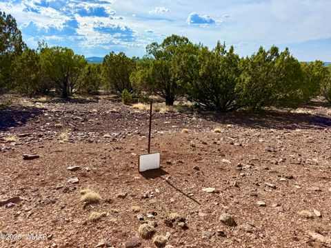 Tiny photo for TBD Co Rd N3109 9.11 Acres, Vernon, AZ 85940 (MLS # 257672)