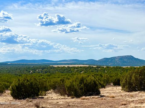 Tiny photo for TBD Co Rd N3109 9.11 Acres, Vernon, AZ 85940 (MLS # 257672)