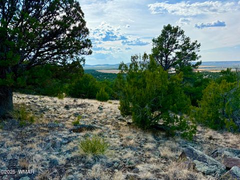 Tiny photo for TBD Co Rd N3109 9.11 Acres, Vernon, AZ 85940 (MLS # 257672)