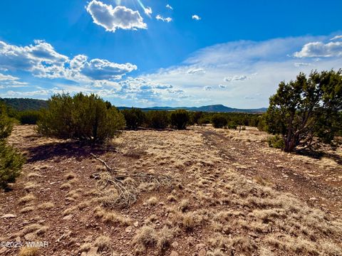 Tiny photo for TBD Co Rd N3109 9.11 Acres, Vernon, AZ 85940 (MLS # 257672)