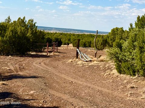 Tiny photo for TBD Co Rd N3109 9.11 Acres, Vernon, AZ 85940 (MLS # 257672)