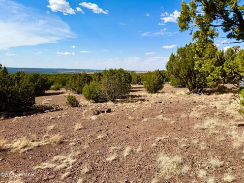 Tiny photo for TBD Co Rd N3109 9.11 Acres, Vernon, AZ 85940 (MLS # 257672)