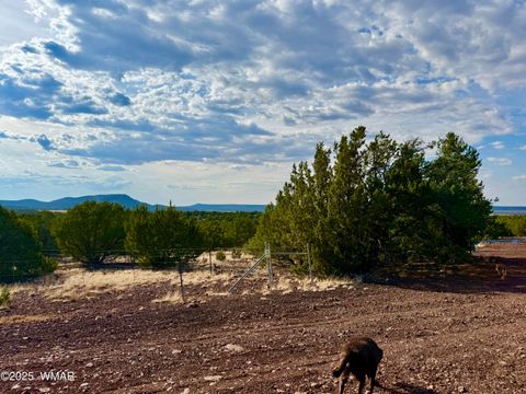 Tiny photo for TBD Co Rd N3109 9.11 Acres, Vernon, AZ 85940 (MLS # 257672)