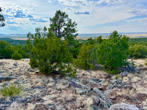 Tiny photo for TBD Co Rd N3109 9.11 Acres, Vernon, AZ 85940 (MLS # 257672)