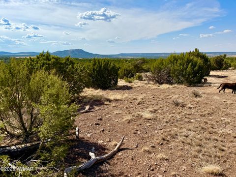 Tiny photo for TBD Co Rd N3109 9.11 Acres, Vernon, AZ 85940 (MLS # 257672)