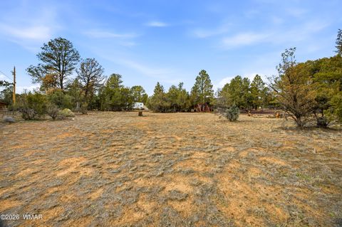 Tiny photo for 3113 Whitetail Way, Overgaard, AZ 85933 (MLS # 259276)