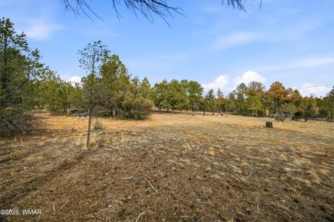Tiny photo for 3113 Whitetail Way, Overgaard, AZ 85933 (MLS # 259276)