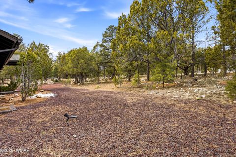 Tiny photo for 3113 Whitetail Way, Overgaard, AZ 85933 (MLS # 259276)