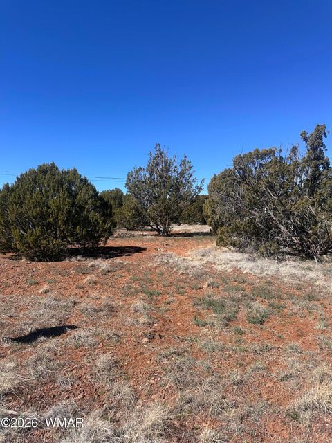 Photo of Lot 338 Bartlett Pl, Show Low, AZ 85901 (MLS # 260185)