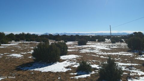Tiny photo for TBD Windsor Valley Ranch Lot 108, Concho, AZ 85924 (MLS # 259118)