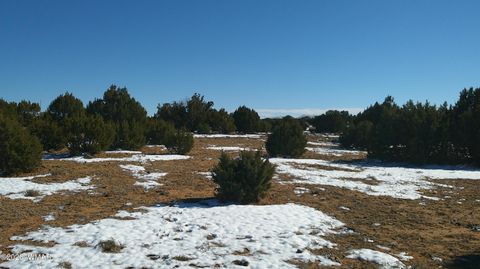 Tiny photo for TBD Windsor Valley Ranch Lot 108, Concho, AZ 85924 (MLS # 259118)