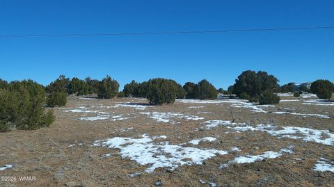 Tiny photo for TBD Windsor Valley Ranch Lot 108, Concho, AZ 85924 (MLS # 259118)