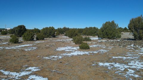 Tiny photo for TBD Windsor Valley Ranch Lot 108, Concho, AZ 85924 (MLS # 259118)