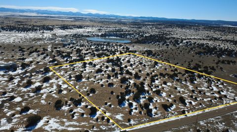 Tiny photo for TBD Windsor Valley Ranch Lot 108, Concho, AZ 85924 (MLS # 259118)