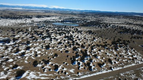 Tiny photo for TBD Windsor Valley Ranch Lot 108, Concho, AZ 85924 (MLS # 259118)