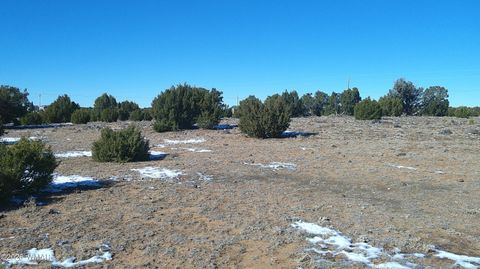 Tiny photo for TBD Windsor Valley Ranch Lot 108, Concho, AZ 85924 (MLS # 259118)