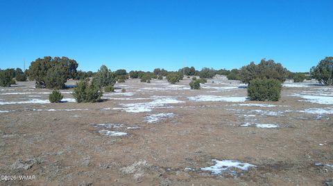 Tiny photo for TBD Windsor Valley Ranch Lot 108, Concho, AZ 85924 (MLS # 259118)