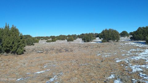 Tiny photo for TBD Windsor Valley Ranch Lot 108, Concho, AZ 85924 (MLS # 259118)