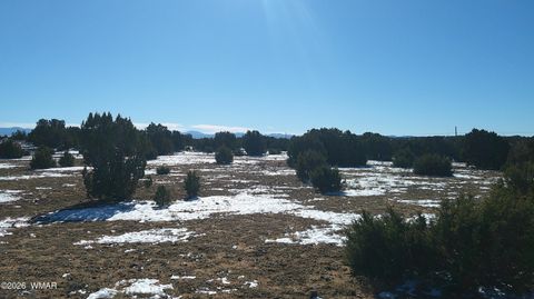 Photo of TBD Windsor Valley Ranch Lot 108, Concho, AZ 85924 (MLS # 259118)