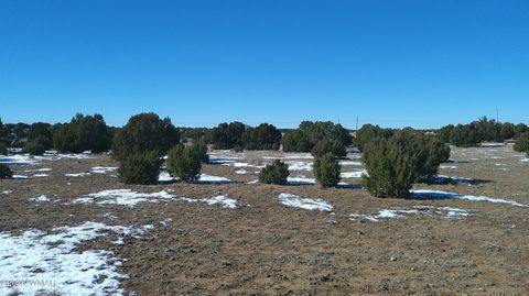 Tiny photo for TBD Windsor Valley Ranch Lot 108, Concho, AZ 85924 (MLS # 259118)