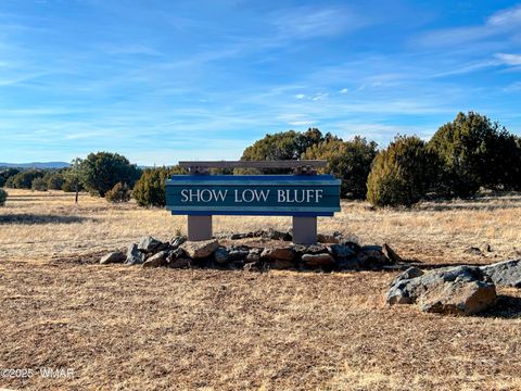 Tiny photo for 521 S Rockcreek Drive, Show Low, AZ 85901 (MLS # 258627)