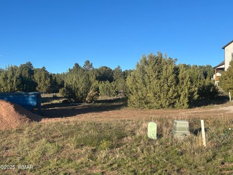 Tiny photo for 521 S Rockcreek Drive, Show Low, AZ 85901 (MLS # 258627)