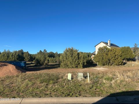 Tiny photo for 521 S Rockcreek Drive, Show Low, AZ 85901 (MLS # 258627)
