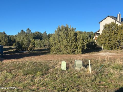 Photo of 521 S Rockcreek Drive, Show Low, AZ 85901 (MLS # 258627)