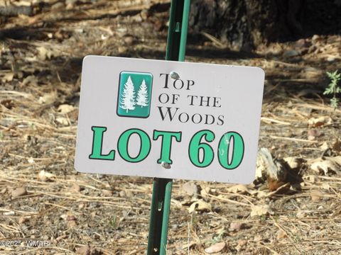 Photo of 2534 S Aspen Run #60, Pinetop, AZ 85935 (MLS # 258618)
