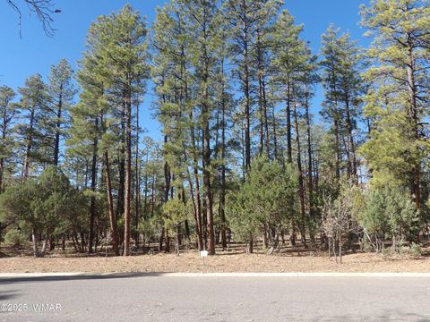 Tiny photo for 2534 S Aspen Run #60, Pinetop, AZ 85935 (MLS # 258618)