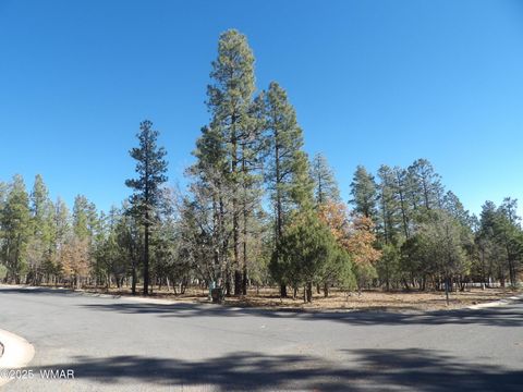 Tiny photo for 2534 S Aspen Run #60, Pinetop, AZ 85935 (MLS # 258618)