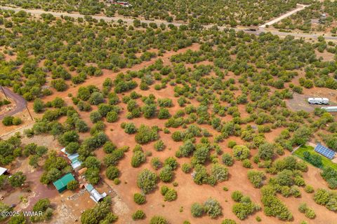 Tiny photo for TBD HWY 61, Vernon, AZ 85940 (MLS # 257338)