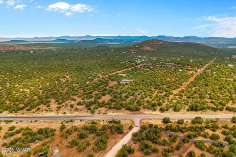 Photo of TBD HWY 61, Vernon, AZ 85940 (MLS # 257338)