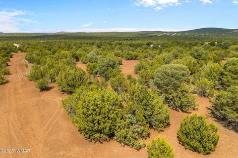 Tiny photo for TBD HWY 61, Vernon, AZ 85940 (MLS # 257338)