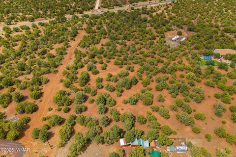 Tiny photo for TBD HWY 61, Vernon, AZ 85940 (MLS # 257338)