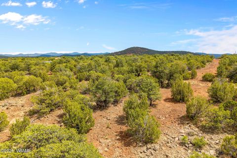 Tiny photo for TBD HWY 61, Vernon, AZ 85940 (MLS # 257338)