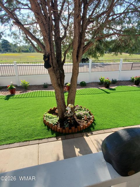 Tiny photo for 933 S Fox Hunt, Show Low, AZ 85901 (MLS # 259687)