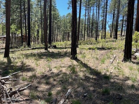 Tiny photo for TBD N2122, Alpine, AZ 85920 (MLS # 259511)