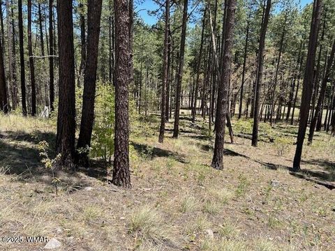 Photo of TBD N2122, Alpine, AZ 85920 (MLS # 259511)
