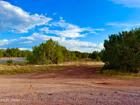 Tiny photo for 180 Co Rd 3148 Lot #1 2.1 Acres, Vernon, AZ 85940 (MLS # 255107)