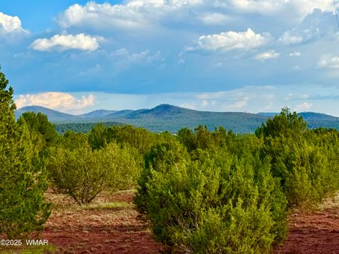 Photo of 180 Co Rd 3148 Lot #1 2.1 Acres, Vernon, AZ 85940 (MLS # 255107)