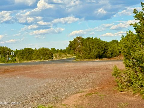 Tiny photo for 180 Co Rd 3148 Lot #1 2.1 Acres, Vernon, AZ 85940 (MLS # 255107)