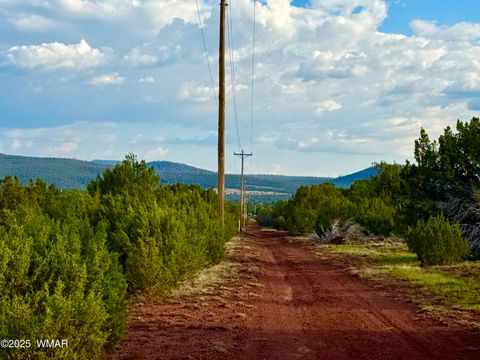 Tiny photo for 180 Co Rd 3148 Lot #1 2.1 Acres, Vernon, AZ 85940 (MLS # 255107)